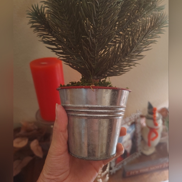 Mini Tree - Picture 5 of 5